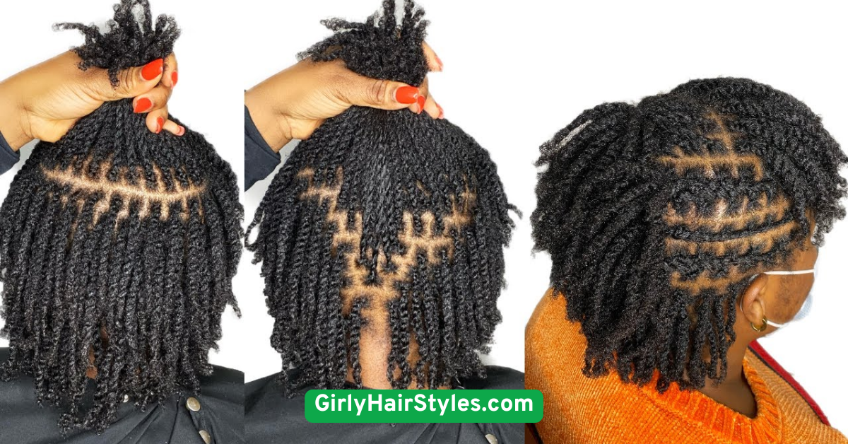 Mini Braids or Twists (Unisex)