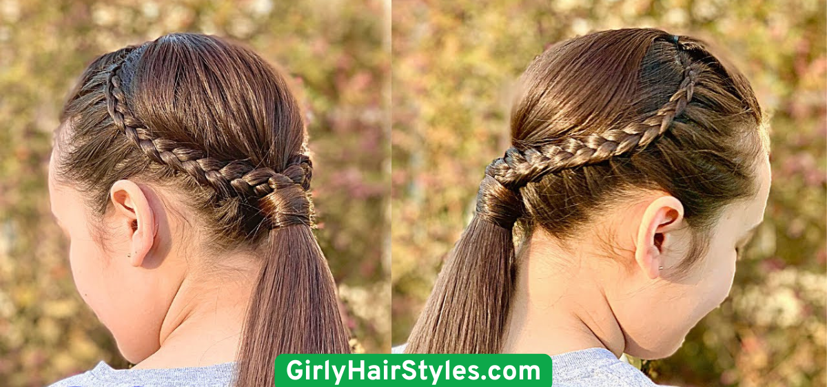 Braided Low Pony