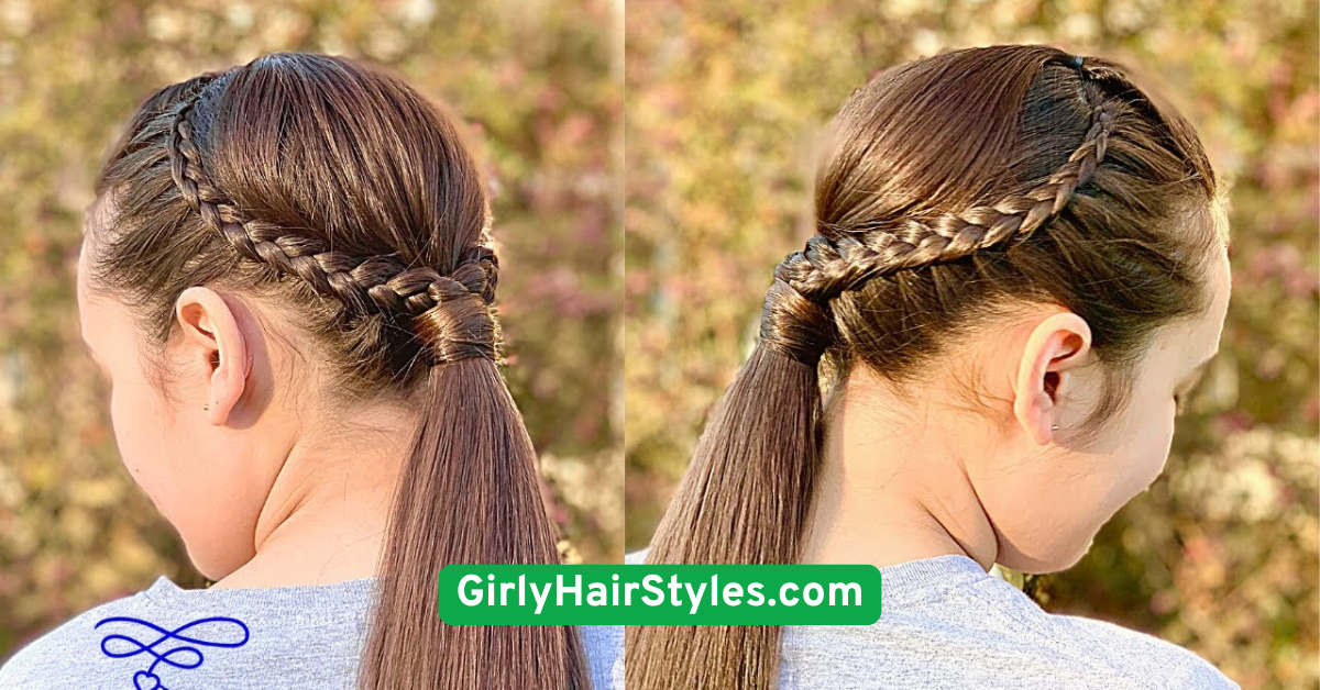 Braided Low Pony