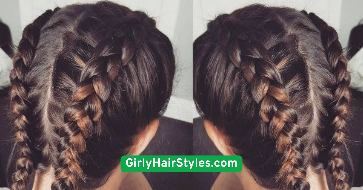  Double Braids (Pigtails)
